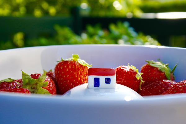 Strawberries porcelain bowl